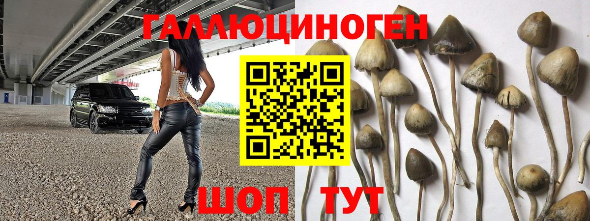 Галлюциногенные грибы MAGIC MUSHROOMS Тихвин