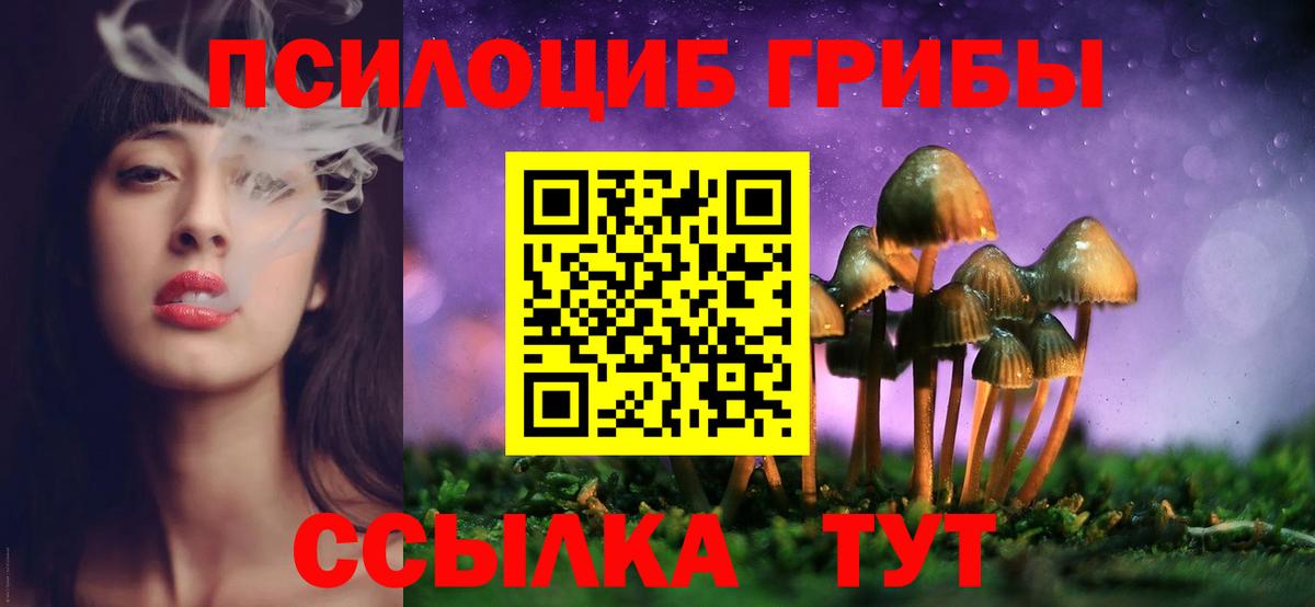 Псилоцибиновые грибы мицелий  Галлюциногенные грибы Cubensis  Тихвин  Вход с VPN 