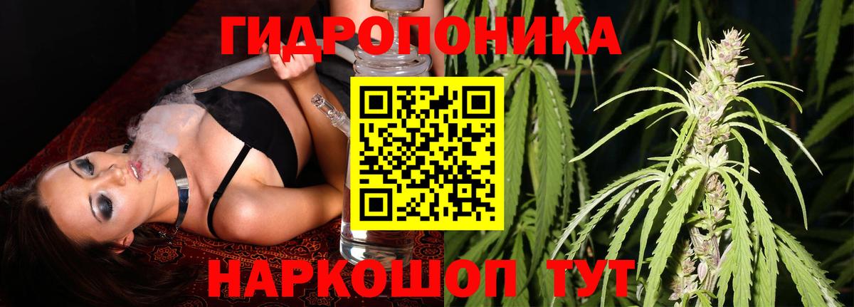 Бошки Шишки сатива  МАРИХУАНА Bruce Banner  Тихвин  Каннабис SATIVA & INDICA  Вход с VPN  Конопля план 